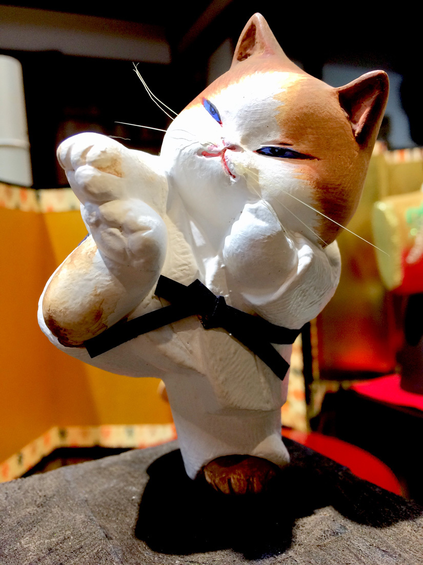 karate cat