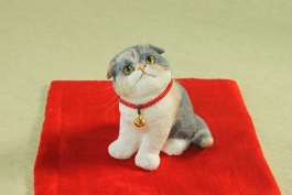 dolls cat